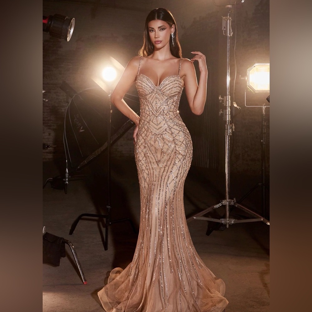 Elegant Sequin Evening Gown